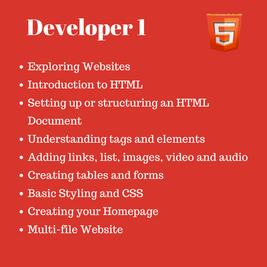 Developer 1