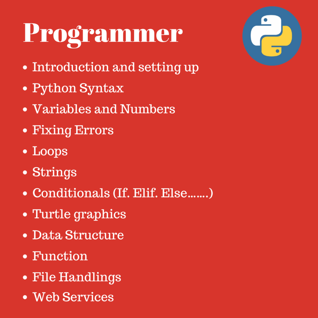 programmer